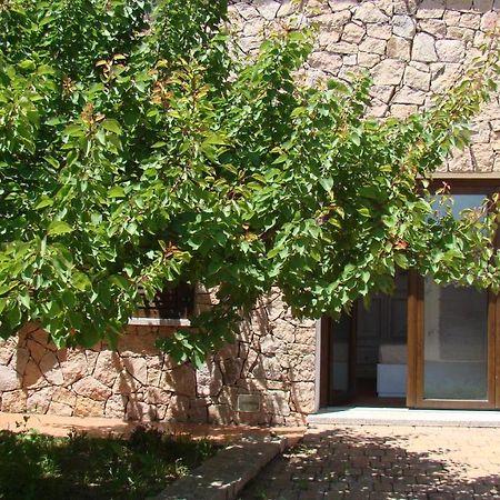 Apartmán Bella Casa Con Giardino A 10 Minuti Dal Mare Aglientu Exteriér fotografie