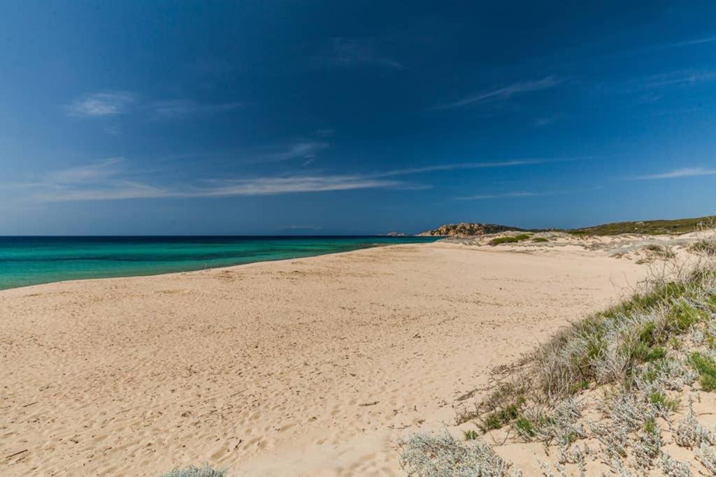 Apartmán Bella Casa Con Giardino A 10 Minuti Dal Mare Aglientu Exteriér fotografie