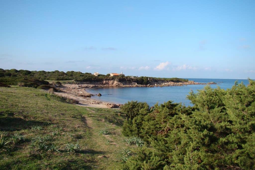 Apartmán Bella Casa Con Giardino A 10 Minuti Dal Mare Aglientu Exteriér fotografie